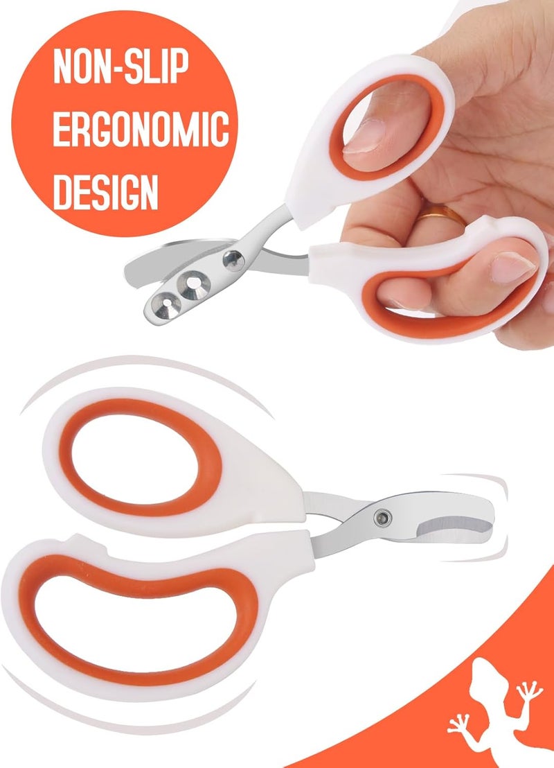 Engorgio Stainless Steel Bearded Dragon Nail Clippers,Lizard Nail Clippers,Bearded Dragon Supplies,Bearded Dragon Nail Scissors for Small Reptiles,Turtle,Chameleon,Iguana，Hedgehog（Orange） - Image 3